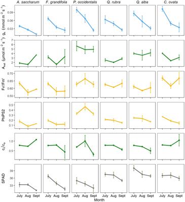 Physiological strategies for handling summer water stress differ among co-existing species and between juvenile and mature trees
